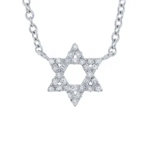 14k White Gold Diamond Star of David Necklace - 0.11ct V0045