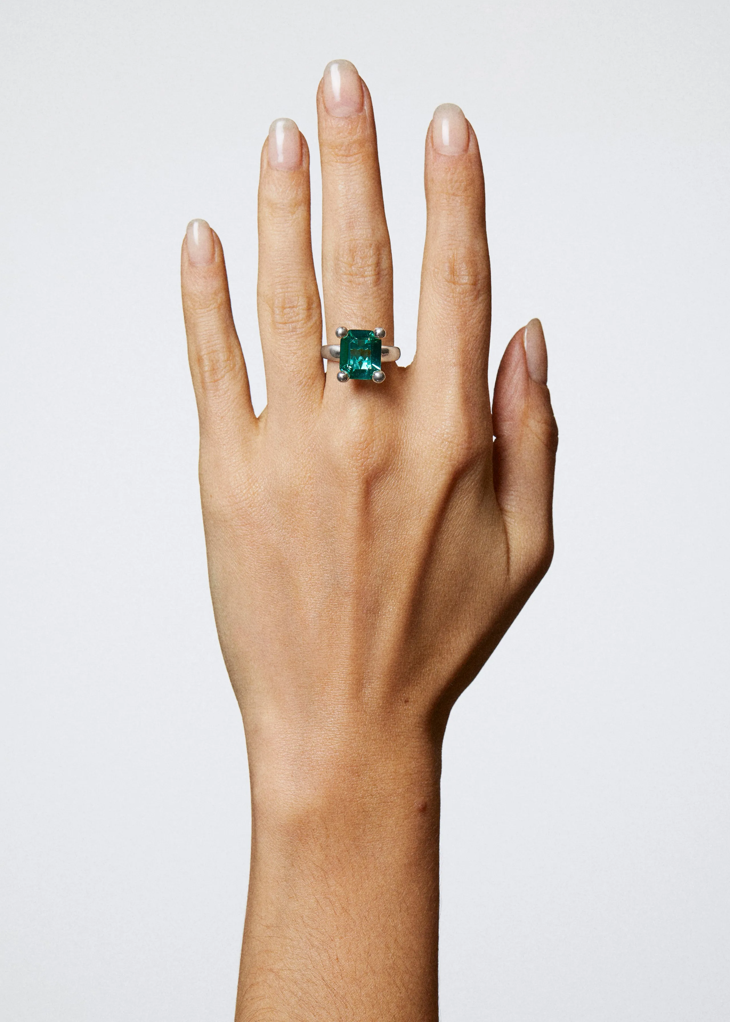 Atomic Particle Ring - Iguana