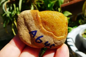 Natural Jade Rough Jadeite Raw (108g,5X4.1X2.8cm)