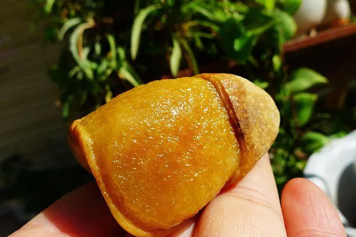 Natural Jade Rough Jadeite Raw (108g,5X4.1X2.8cm)