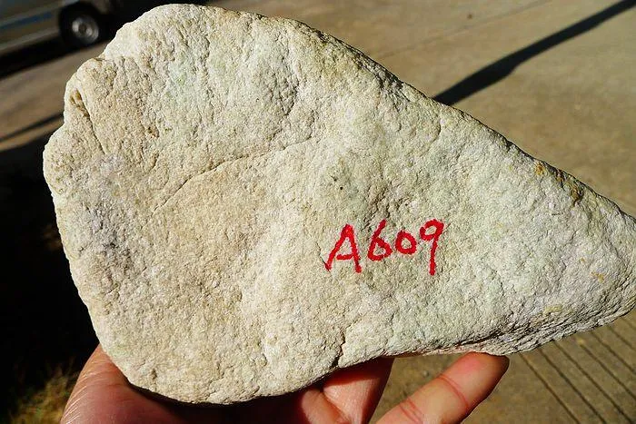 Natural Jade Rough Jadeite Raw (1.27kg,15.5X11.3X4.8cm)