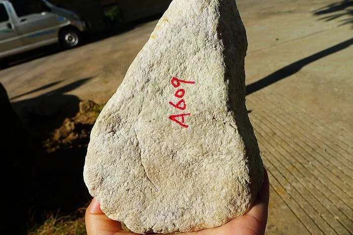 Natural Jade Rough Jadeite Raw (1.27kg,15.5X11.3X4.8cm)