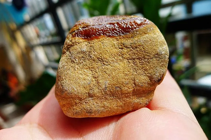 Natural Jade Rough Jadeite Raw (193g,7X3.8X3.6cm)