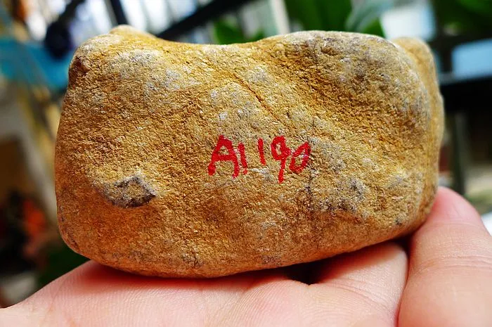 Natural Jade Rough Jadeite Raw (193g,7X3.8X3.6cm)