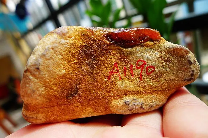 Natural Jade Rough Jadeite Raw (193g,7X3.8X3.6cm)