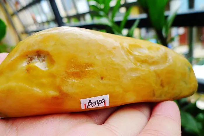 Natural Jade Rough Jadeite Raw (229g,11.6X4X2.6cm)