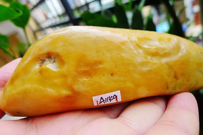 Natural Jade Rough Jadeite Raw (229g,11.6X4X2.6cm)