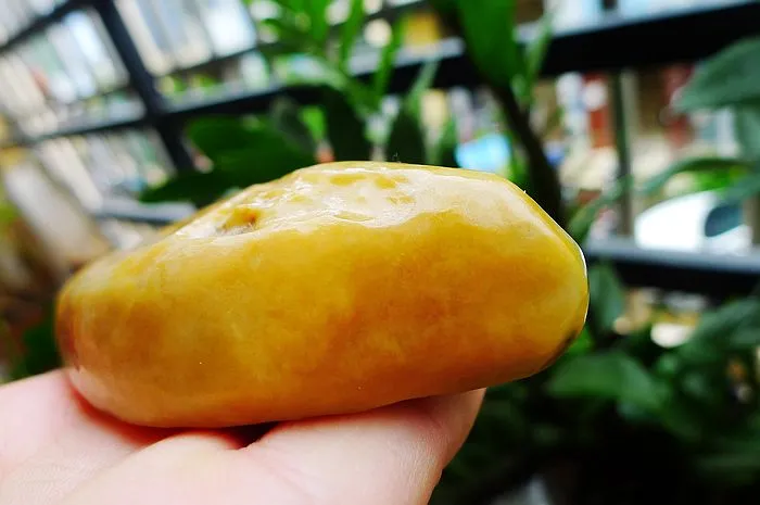Natural Jade Rough Jadeite Raw (229g,11.6X4X2.6cm)