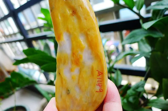 Natural Jade Rough Jadeite Raw (229g,11.6X4X2.6cm)