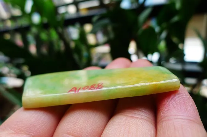 Natural Jade Rough Jadeite Raw (22g,7X2.5X0.46cm)