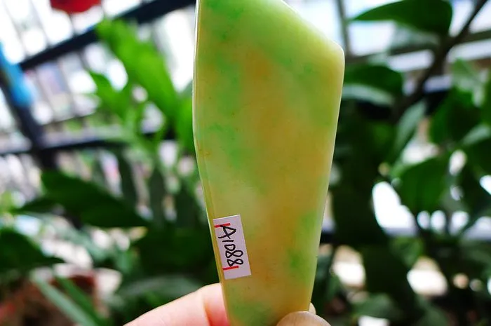 Natural Jade Rough Jadeite Raw (22g,7X2.5X0.46cm)