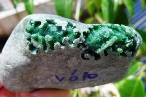 Natural Jade Rough Jadeite Raw (322g,8.6X5.3X3.9cm)