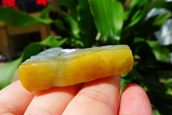 Natural Jade Rough Jadeite Raw (49g,5.3X4.6X1.1cm)