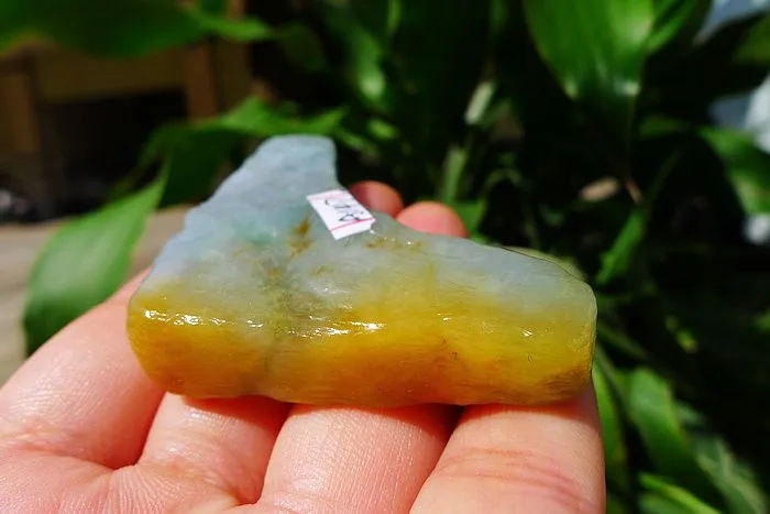 Natural Jade Rough Jadeite Raw (49g,5.3X4.6X1.1cm)