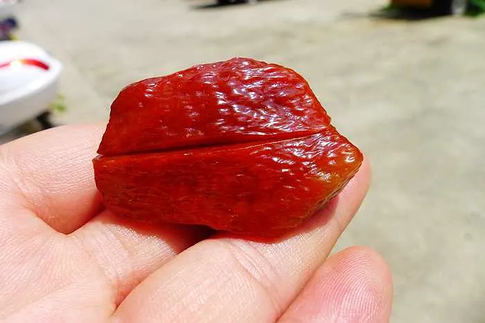 Natural Jade Rough Jadeite Raw 49g