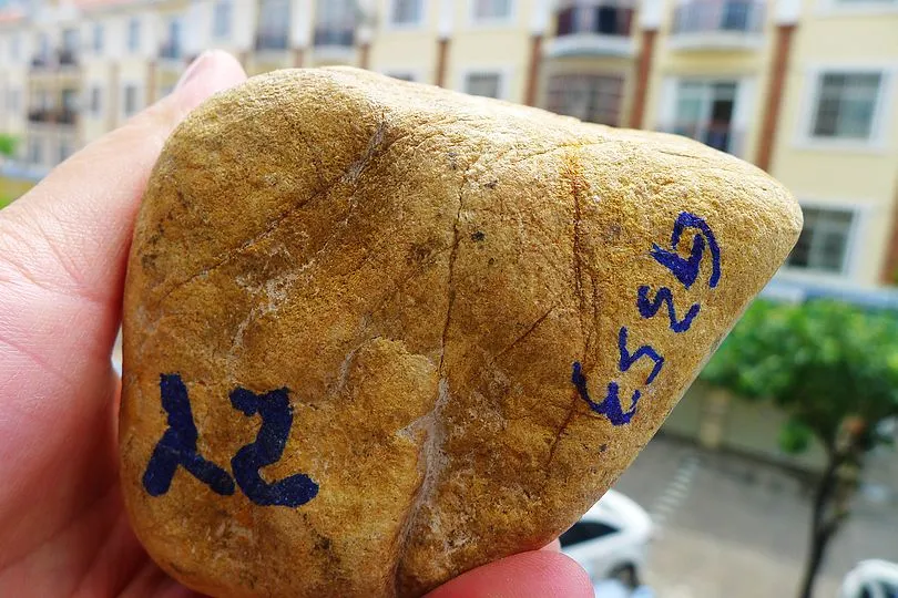 Natural Jade Rough Jadeite Raw (674g,8.5X7.6X5cm)
