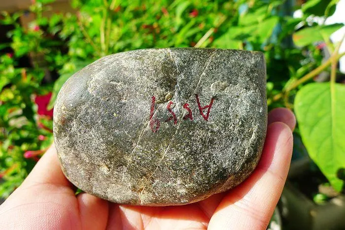 Natural Jade Rough Jadeite Raw (839g,8.5X8.2X5.7cm)