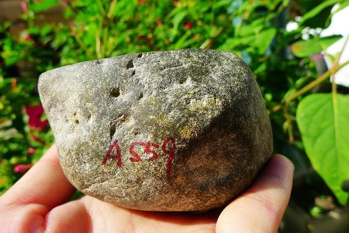 Natural Jade Rough Jadeite Raw (839g,8.5X8.2X5.7cm)