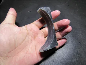 Natural Kunlun Jade Rough Nephrite Raw (48.87g, 76X40X20mm)